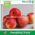 [HOT] Frische rote Gala Apple aus China